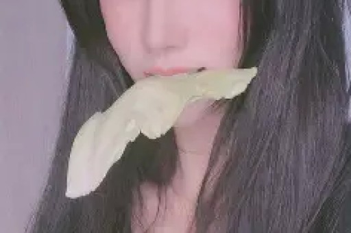 新闻频道——北方网